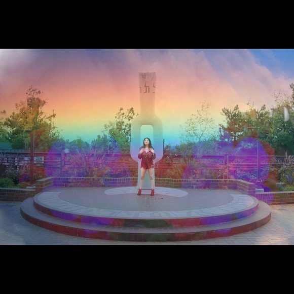 Barbie and Napoleon, your Posher and her pup - Picture 3 of 5